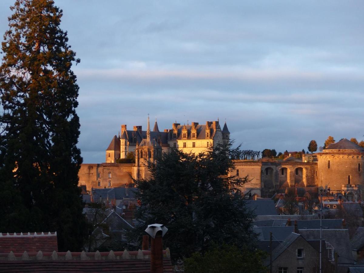 Maison Centre Ville Avec Parking, Jardin, Vue, Ac, Le Point De Vue De Leonard Amboise Eksteriør billede